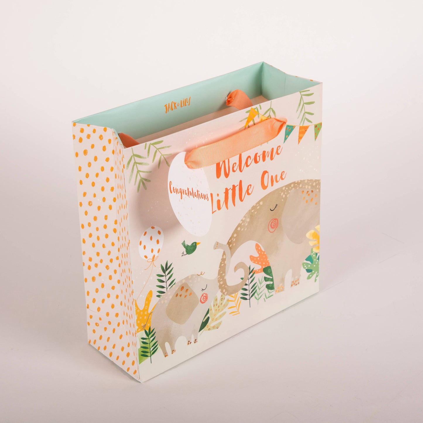 Children's New Baby Gift Bag Medium