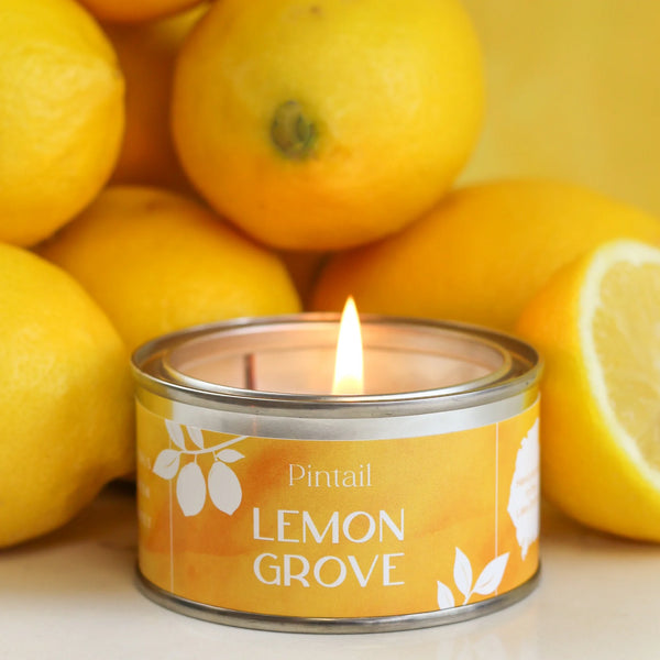 Lemon Grove Paint Pot Candle