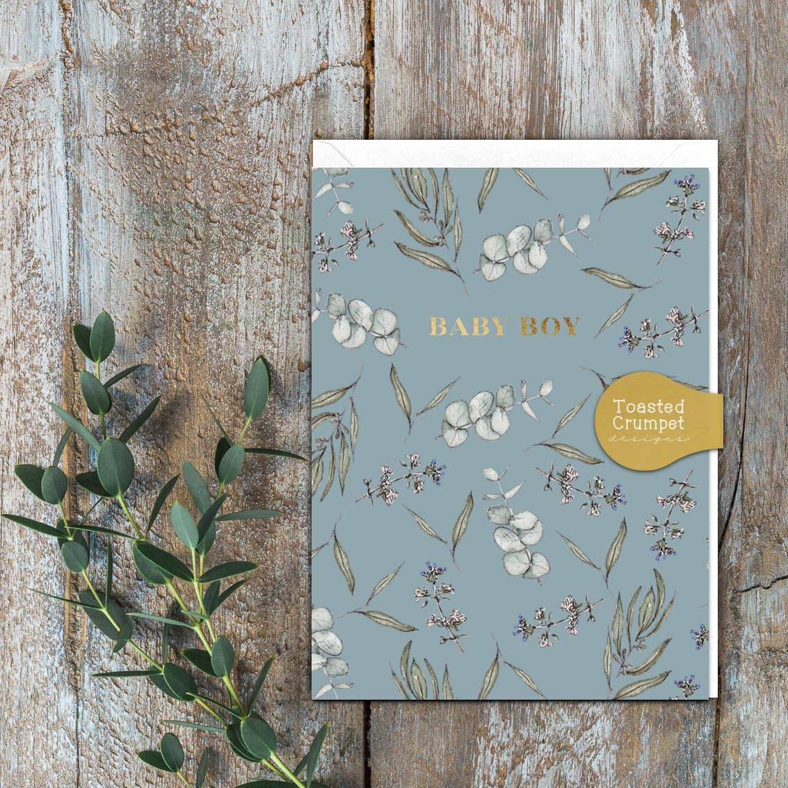 Baby Boy Eucalyptus Card