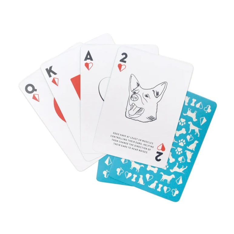 Dog Playing Cards