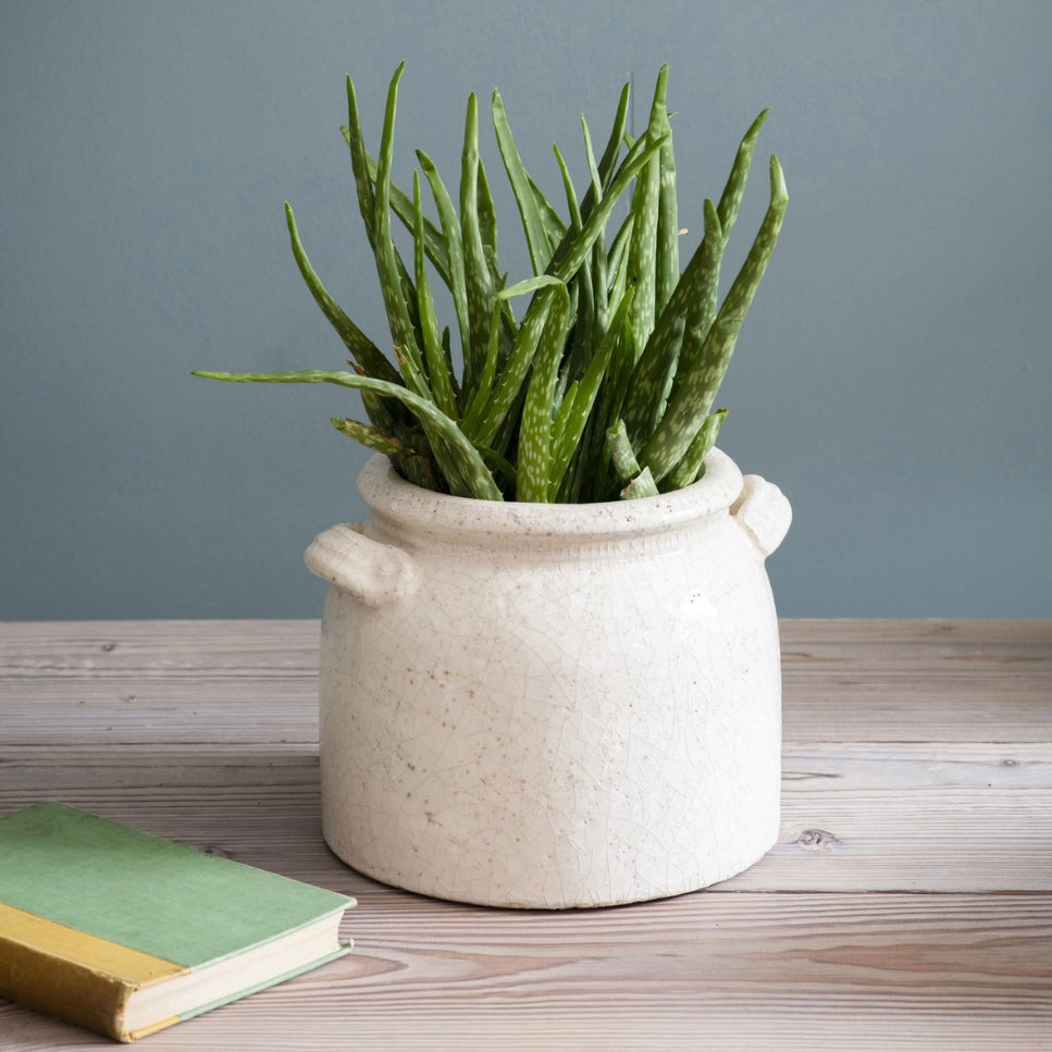 Crackle Glazed Pot With Handles