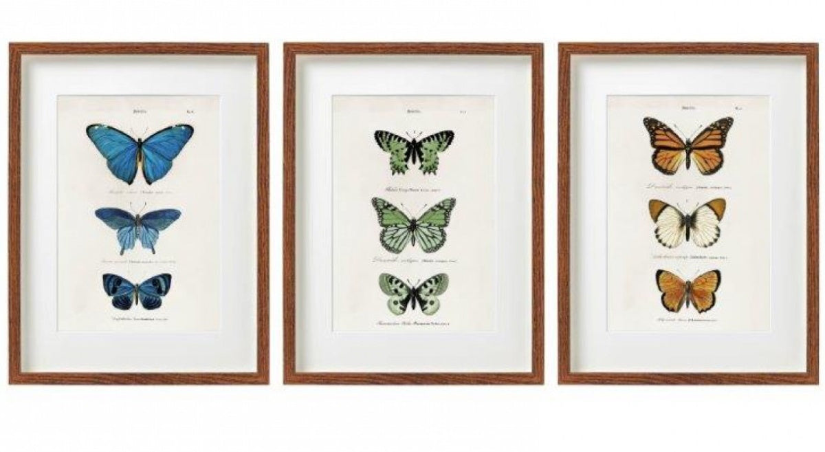 Butterfly Wall Art Framed Print