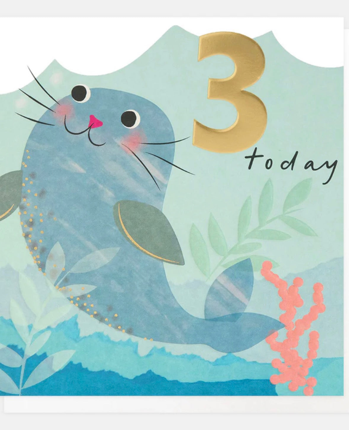 Seal 3rd Birthday Card