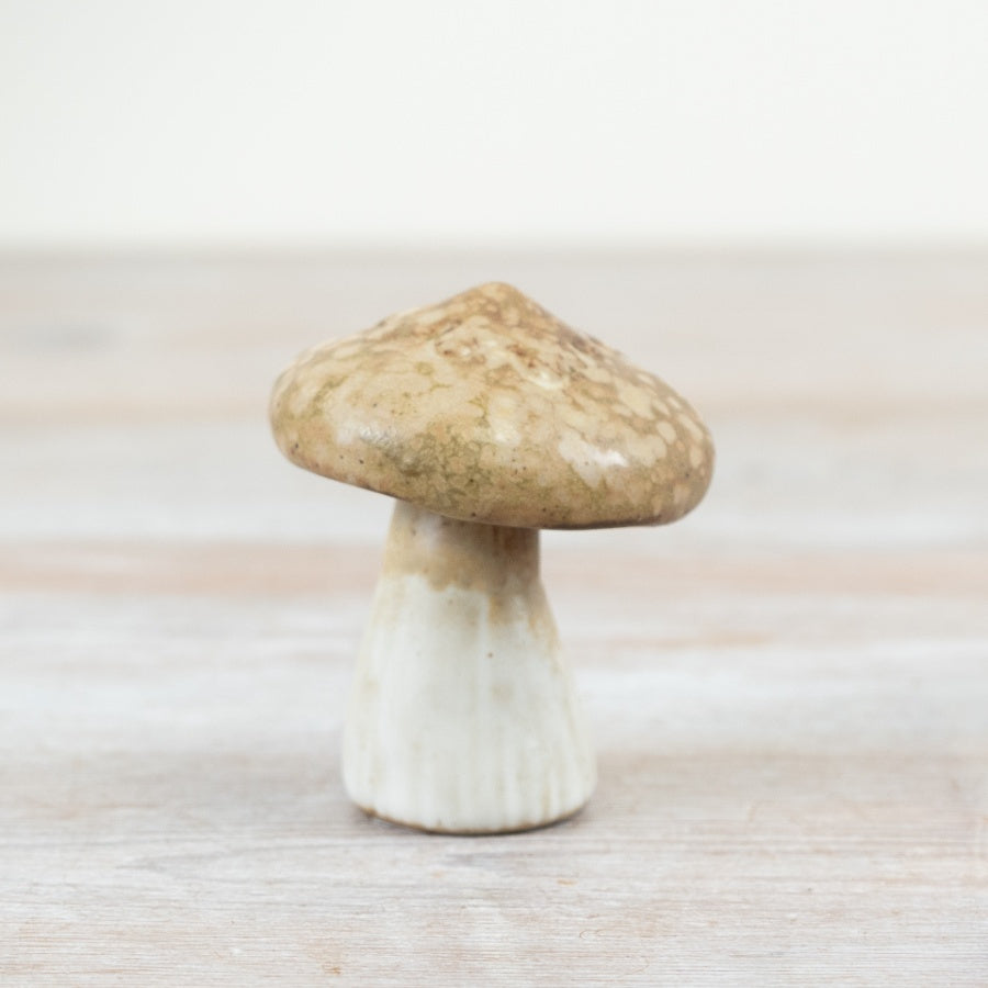 Glazed light brown mushroom - 2 sizes