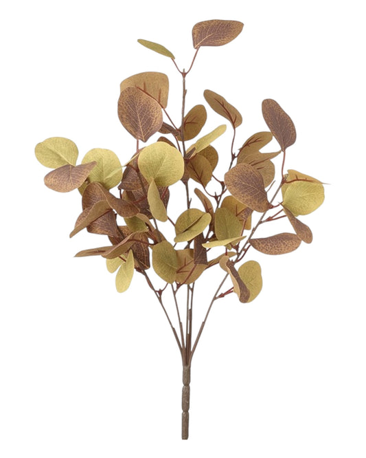 Autumn Brown Eucalyptus