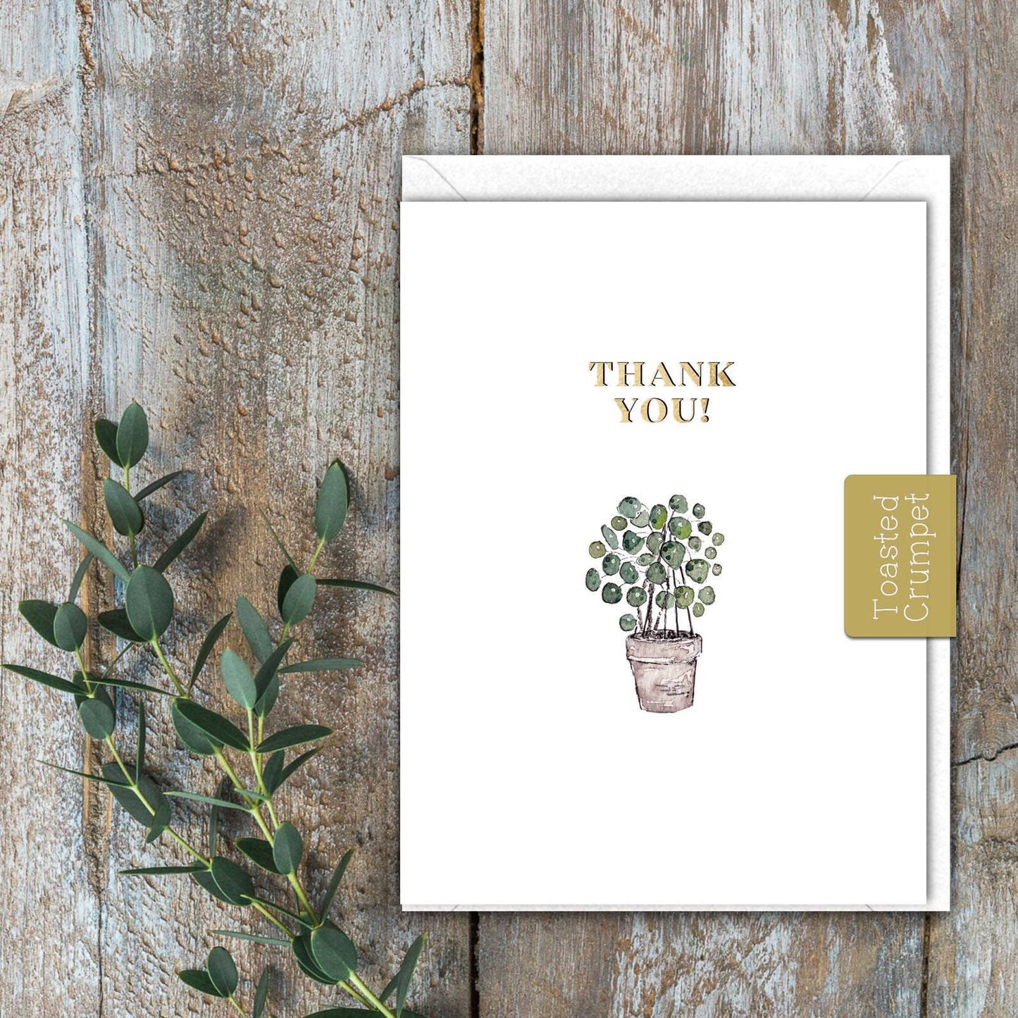 Thank You Pot Plant Card