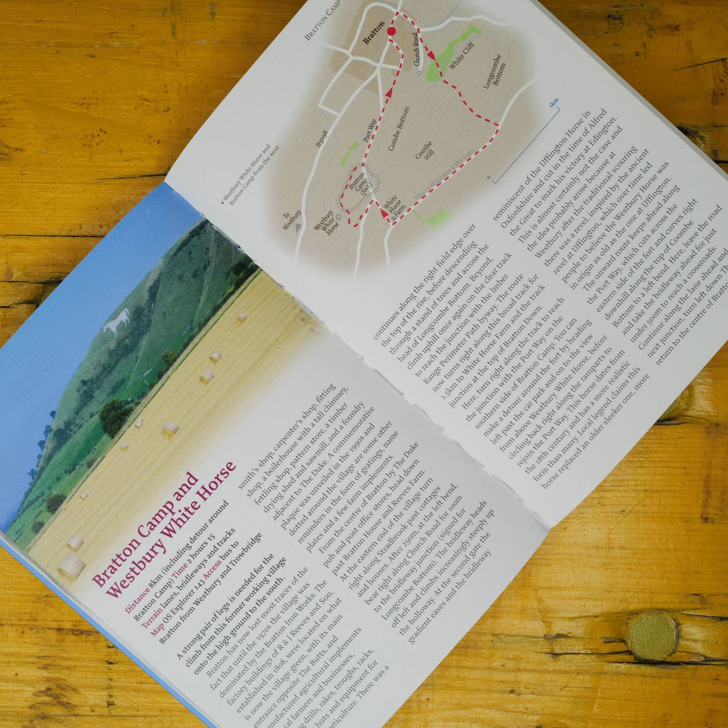 WILTSHIRE: 40 Favourite Wiltshire Walks