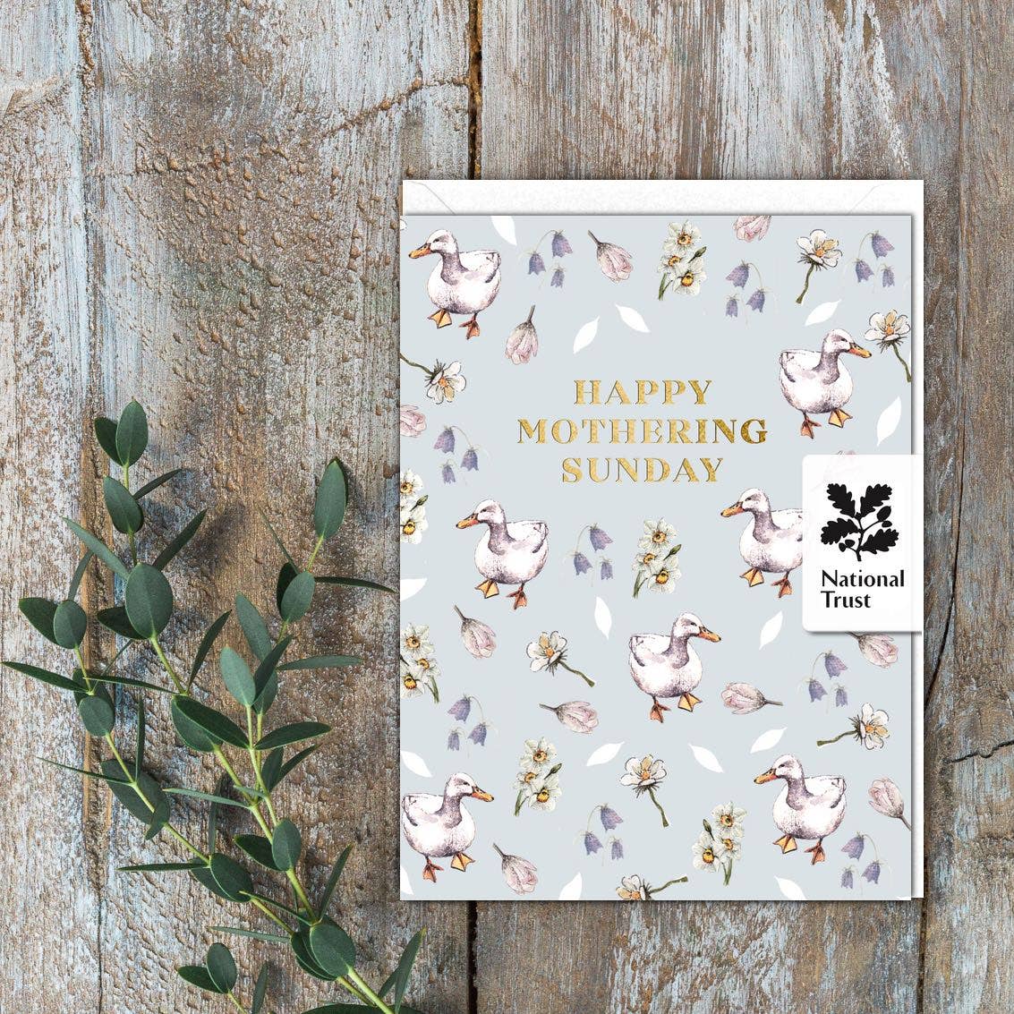 Happy Mothering Sunday Ducks Card (Cello-Free)