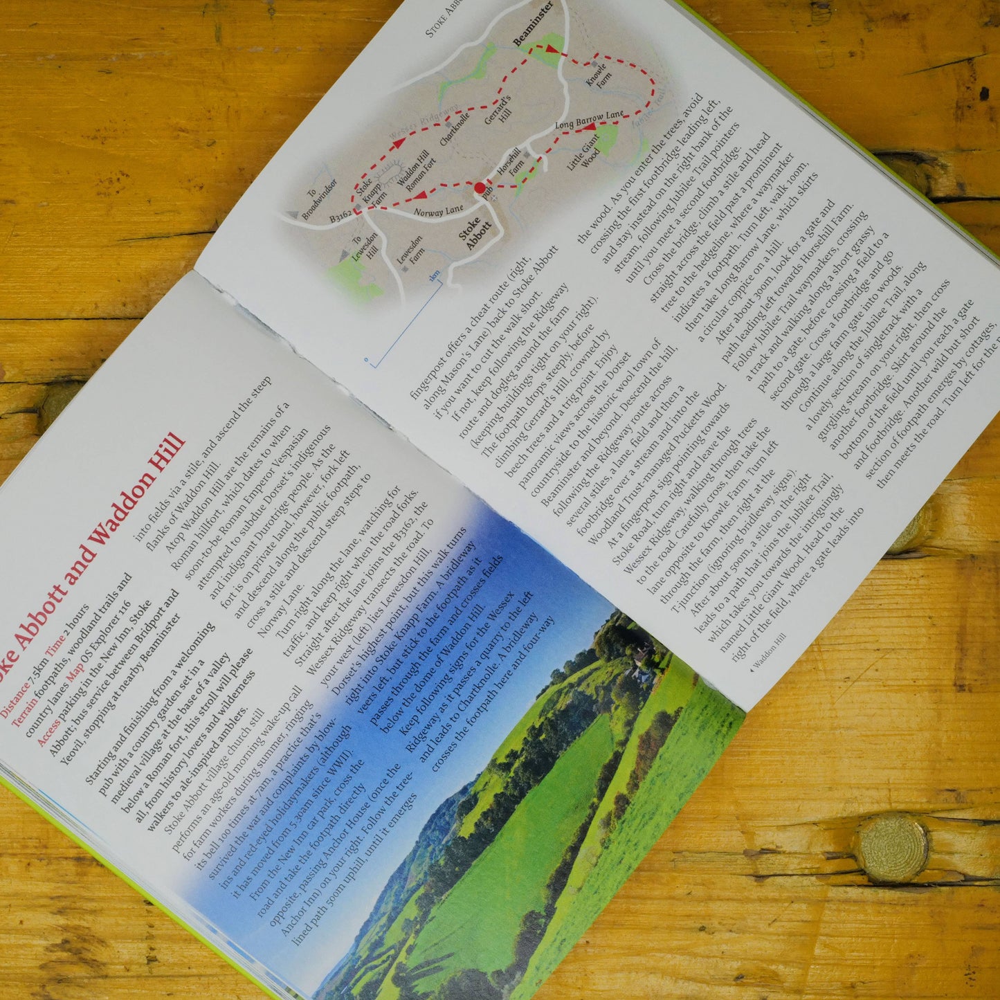 DORSET: 40 Coast and Country Walks