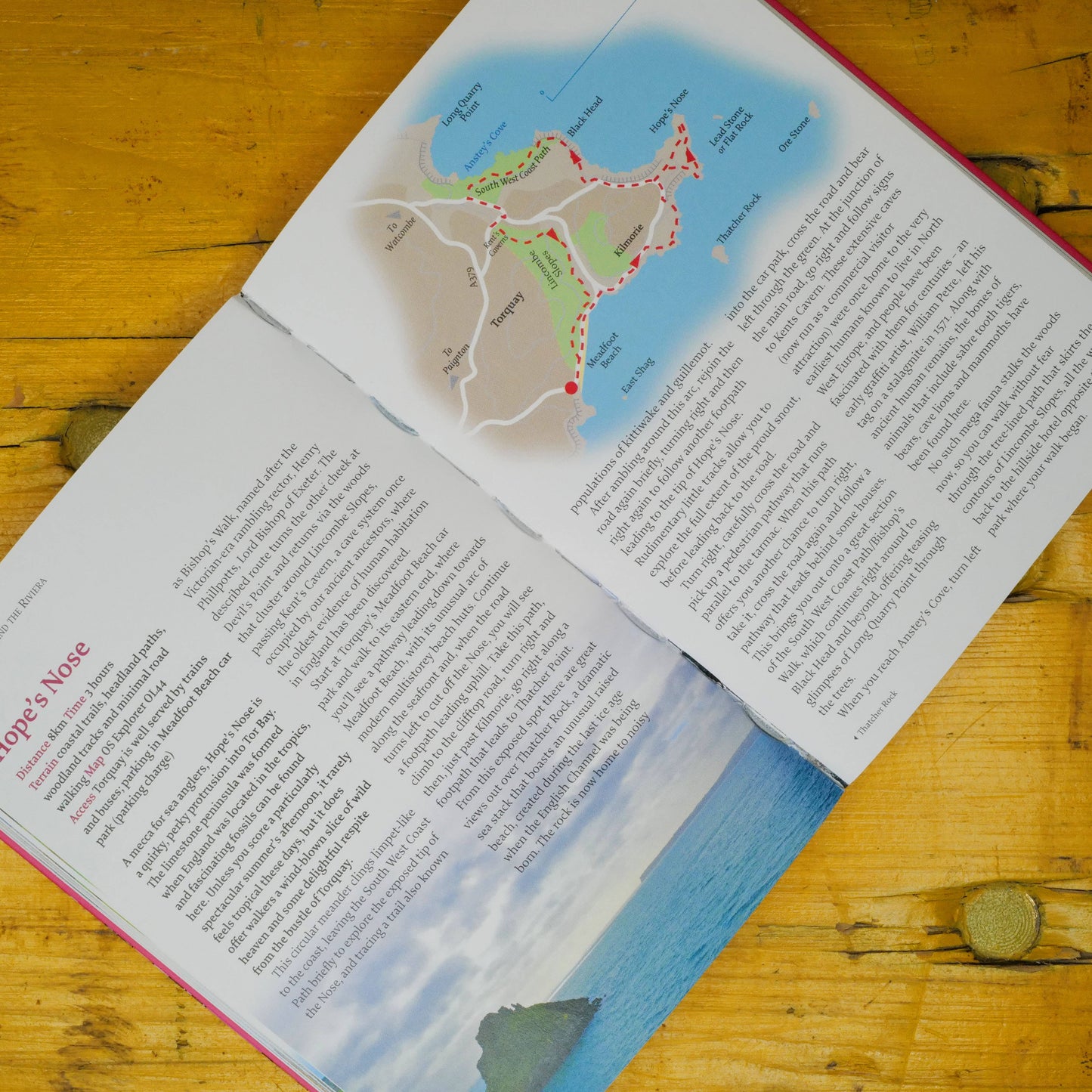 Devon: 40 Coast and Country Walks