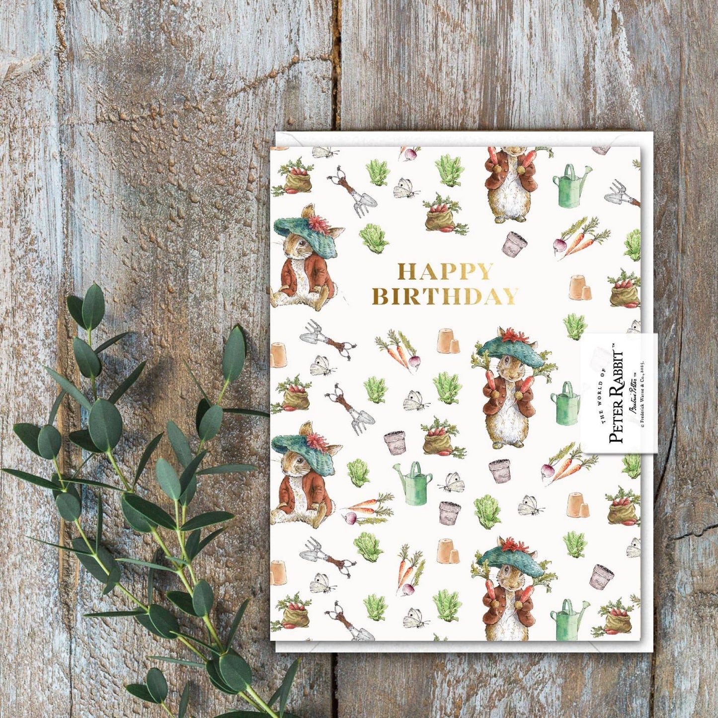 Happy Birthday Benjamin Bunny Card (Cello-Free)