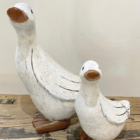 Rustic White Duck - 2 sizes