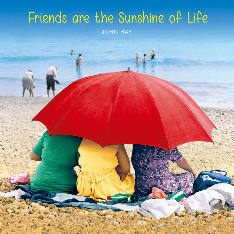 Friends are the sunshine of life - Birthday Card
