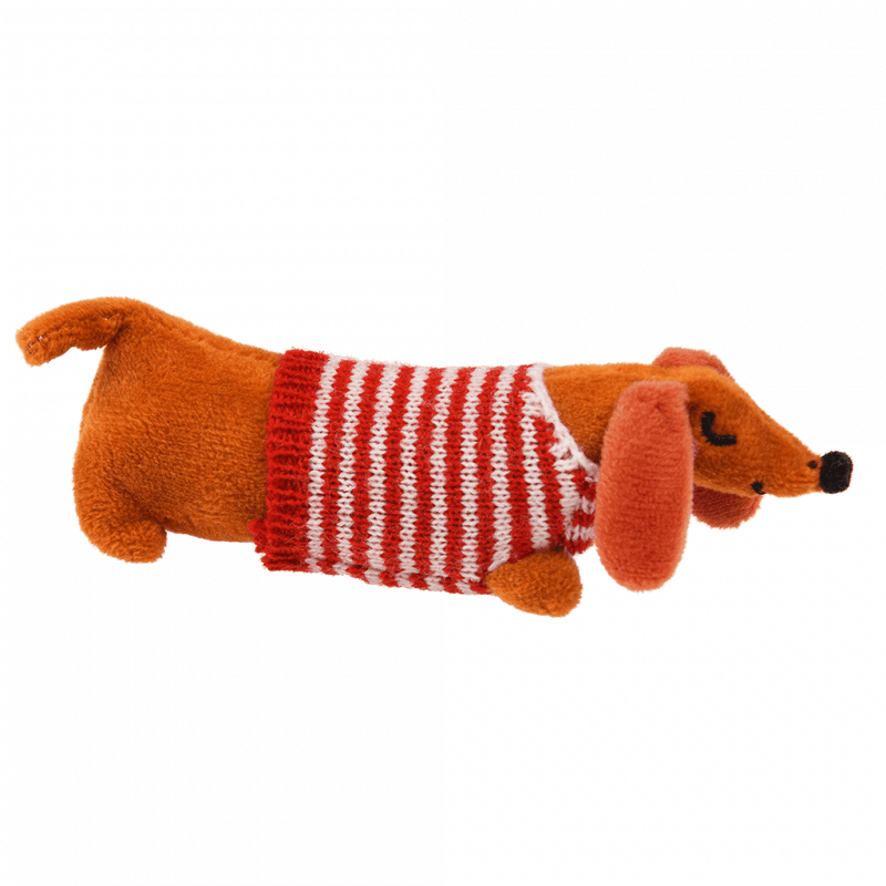Sausage Dog In A Matchbox