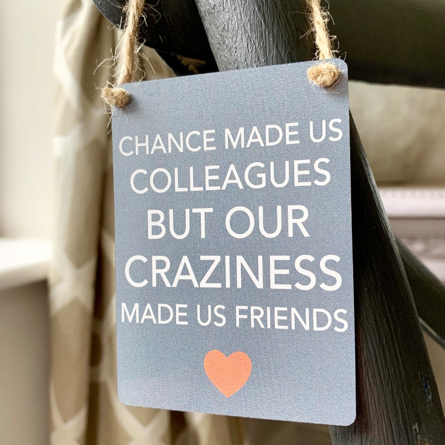 Crazy Colleagues Mini Metal Sign