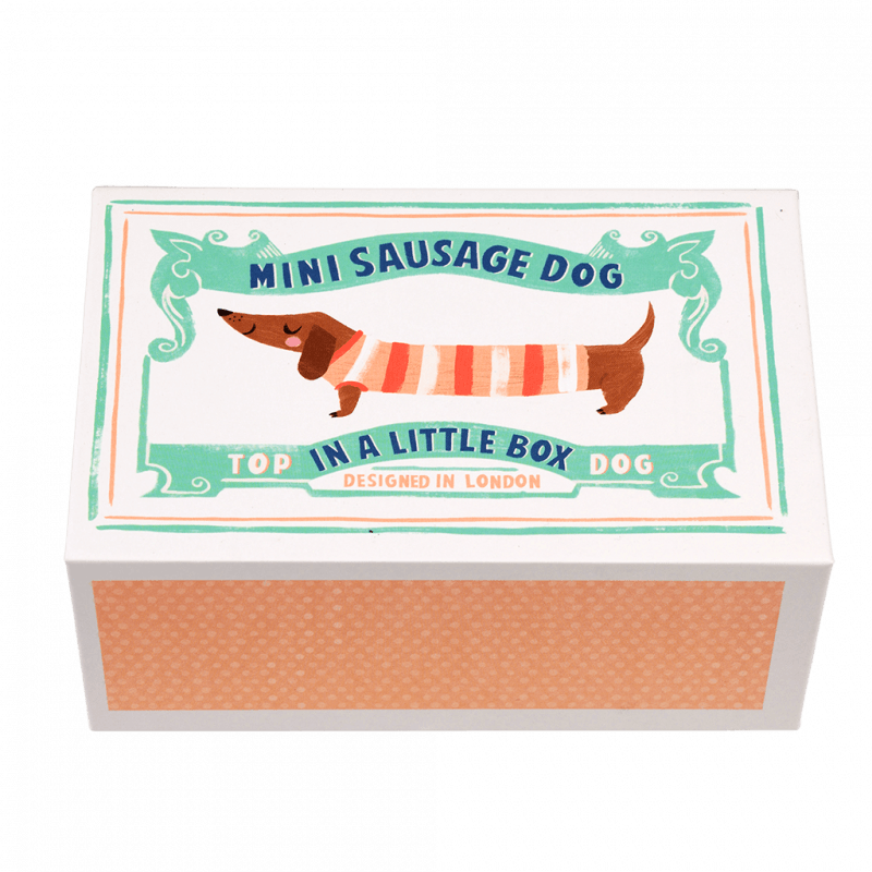 Sausage Dog In A Matchbox