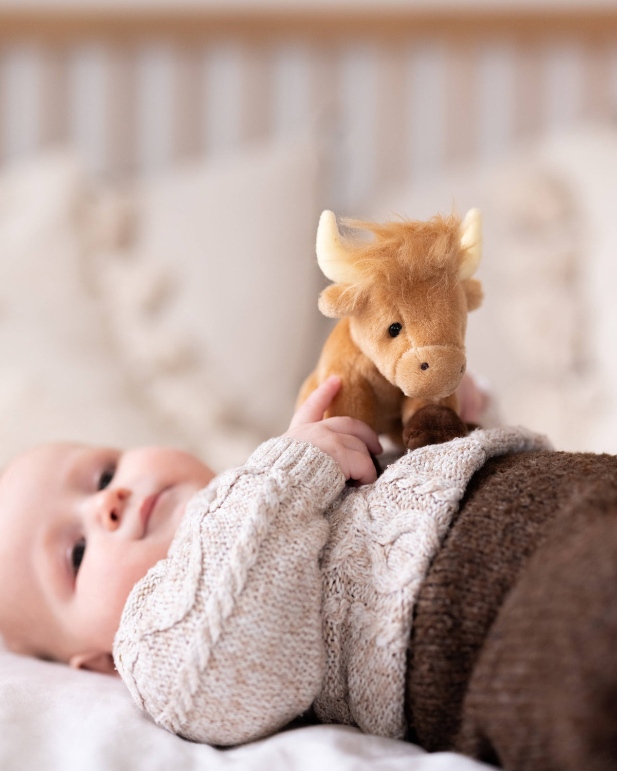 Cuddle Cub Highland Cow - Charlie Bears