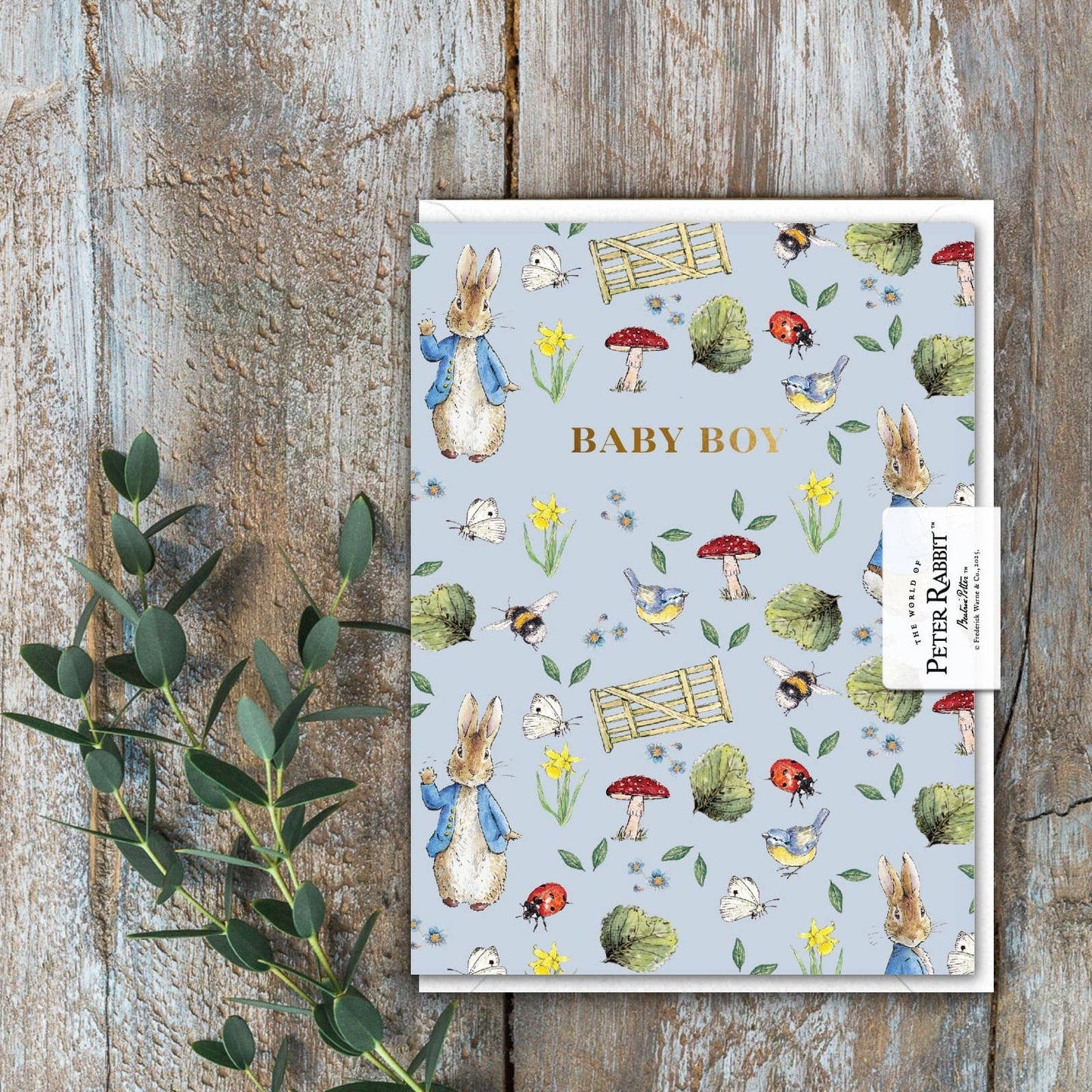 Baby Boy Peter Rabbit Card