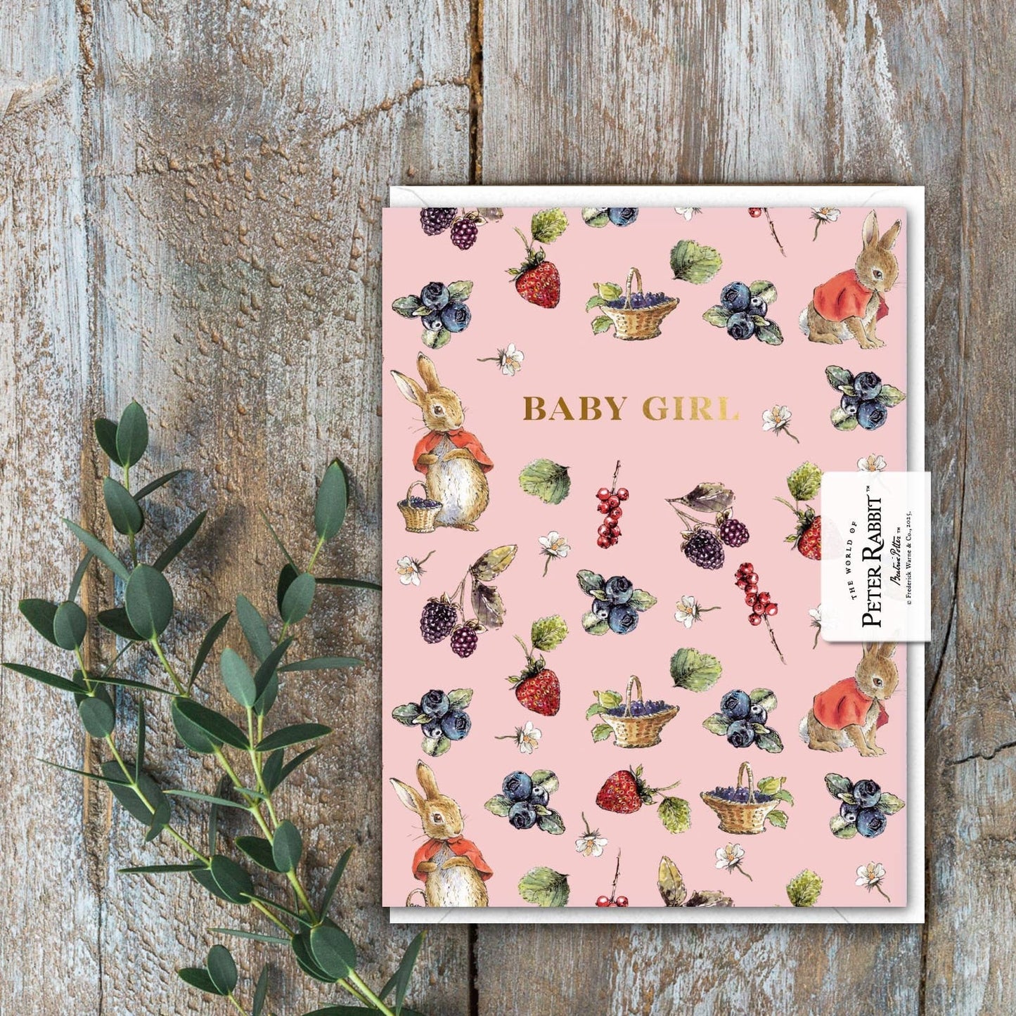 Baby Girl Flopsy Card