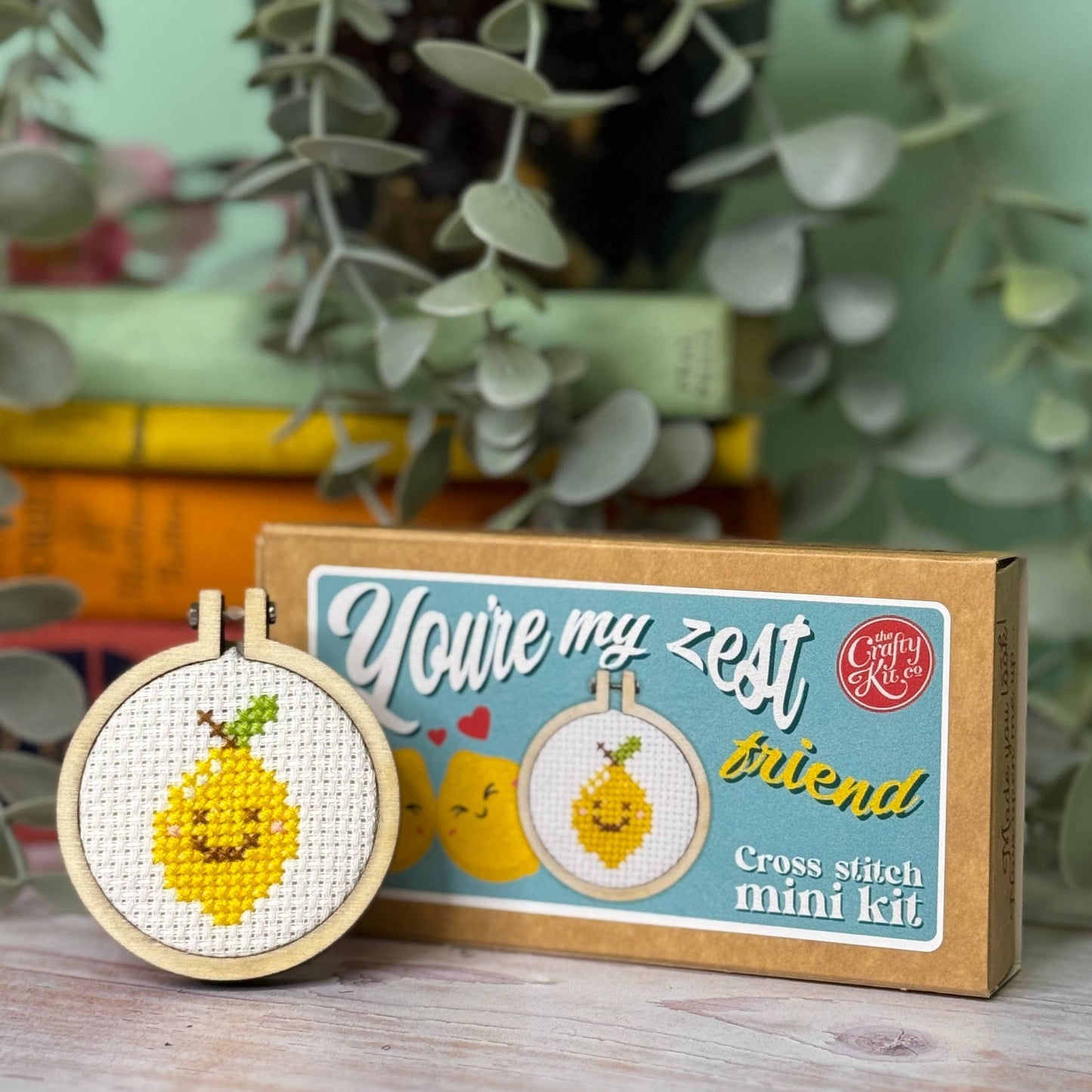 You're My Zest Friend Mini Matchbox Cross Stitch Kit