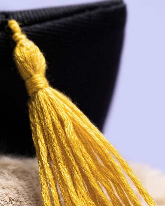 Jellycat Bashful Bunny Graduation Outfit *One per order only*