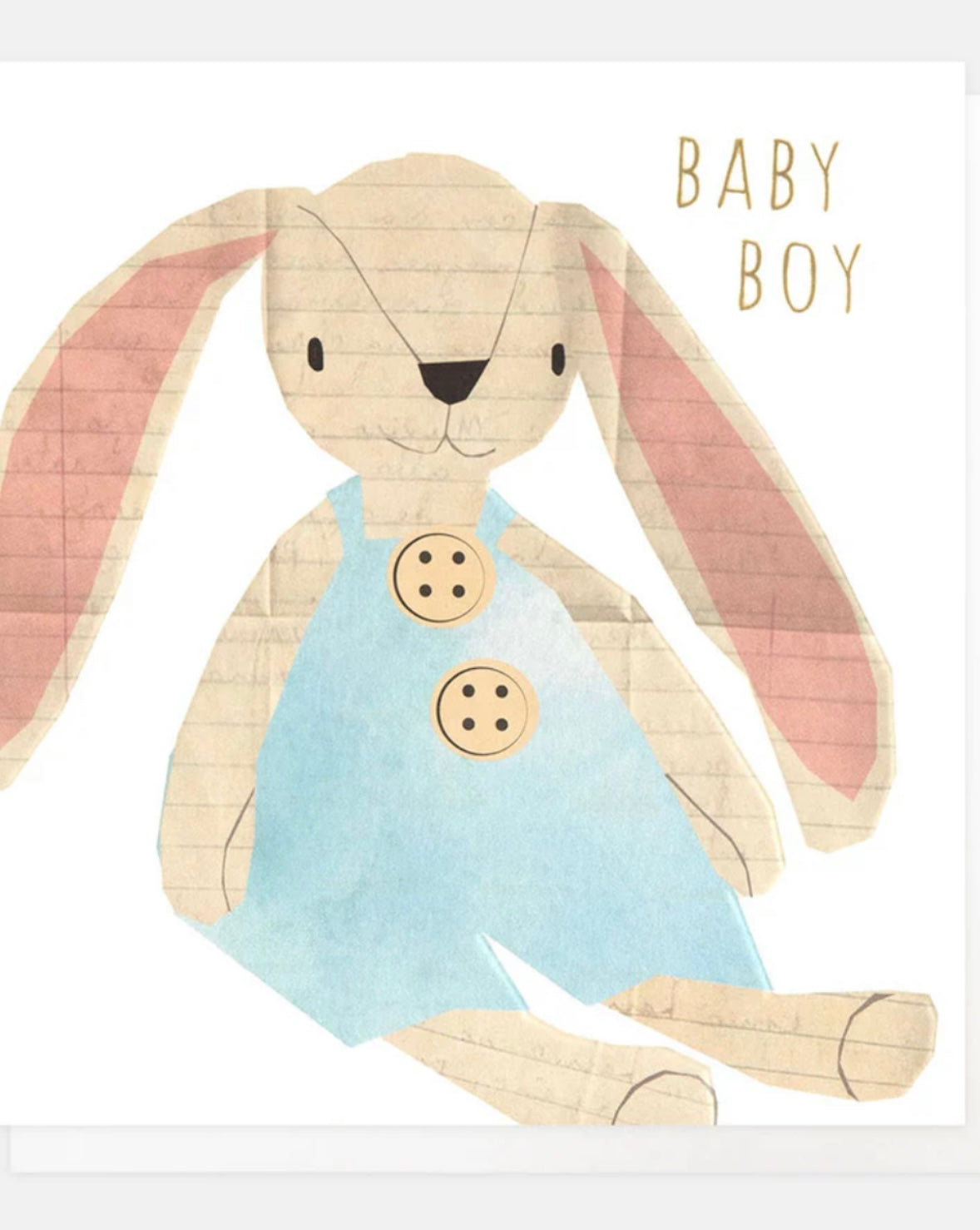 Rabbit New Baby Boy Card