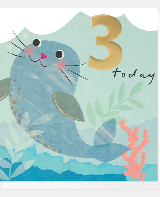 Seal 3rd Birthday Card
