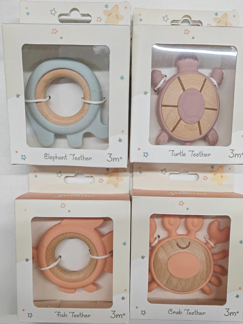 Turtle Teether - 2 colours