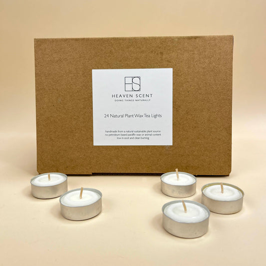 4-Hour Unscented Tea Lights - box of 24