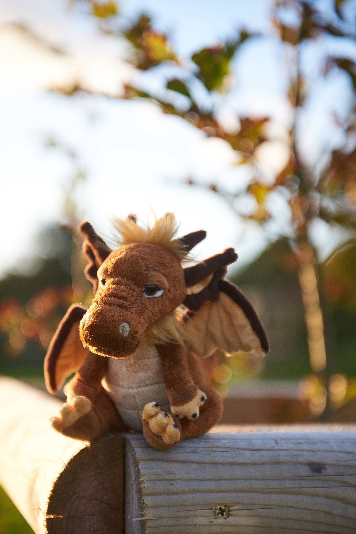 Cuddle Cub Lantern Dragon
