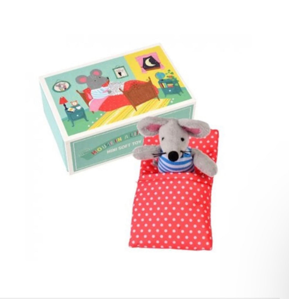 Mouse In A Little House