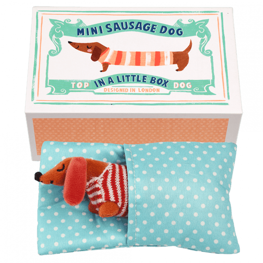 Sausage Dog In A Matchbox